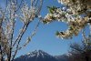 DSC_3206.jpg