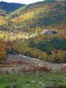 IMG_5784.jpg