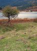 IMG_5766.jpg