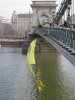 greenpeace2.jpg