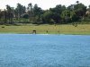 IMG_7432.jpg