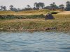 IMG_7487.jpg