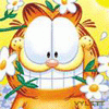 Garfield.gif