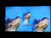 DSC00091.JPG