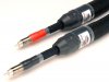 Purist-RCA20thAnniversary.jpg