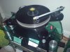 DSC00423.jpg