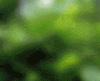 giraffe%5B1%5D.gif