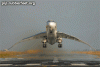 CA_birdflu1[1].gif