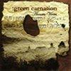 GREEN CARNATION.jpg