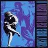 Guns & ROSES1.jpg