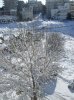 18-02-08 09-50  NO08.JPG