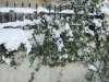 18-02-08 10-25  NO03.JPG