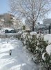18-02-08 10-27  NO06.JPG