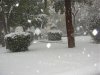 snow 011.jpg