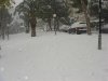 snow 013.jpg
