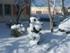 snow 044.jpg