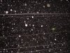 DSC05304.jpg