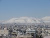 DSC05342.jpg