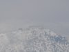 DSC05343.jpg