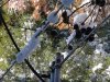 DSC05151.jpg