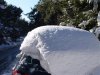 DSC05152.jpg