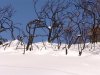 DSC05157.jpg