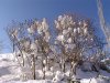 DSC05159.jpg