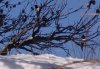 DSC05158.jpg