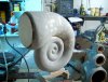 caracol5.jpg