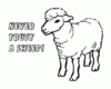 th_sheep.gif