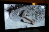 P1010010.jpg