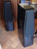 DSC01185.jpg