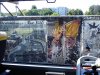 DSC00521.jpg