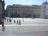 DSC00561.jpg