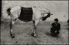 Koudelka_(04).jpg