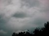 IMG_4555.jpg