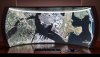 Immersive Desktop.jpg
