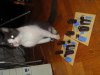 DSC00587.jpg