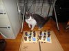 DSC00588.jpg