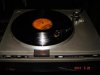 DSC02711.jpg