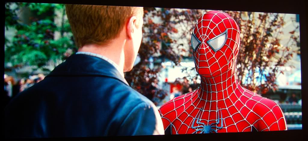 spider2.jpg