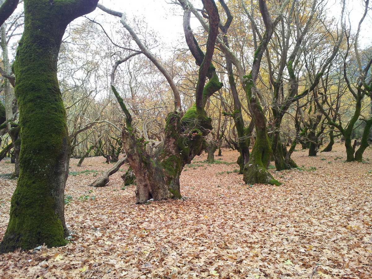 2012-12-08 13.29.49.jpg