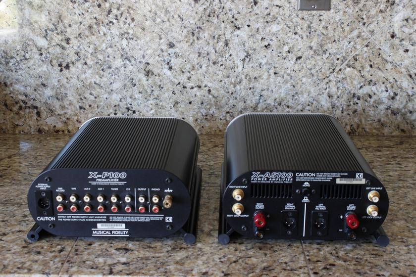 Amps Back.jpg