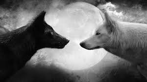 Black & White.jpg