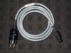 silent wire.JPG