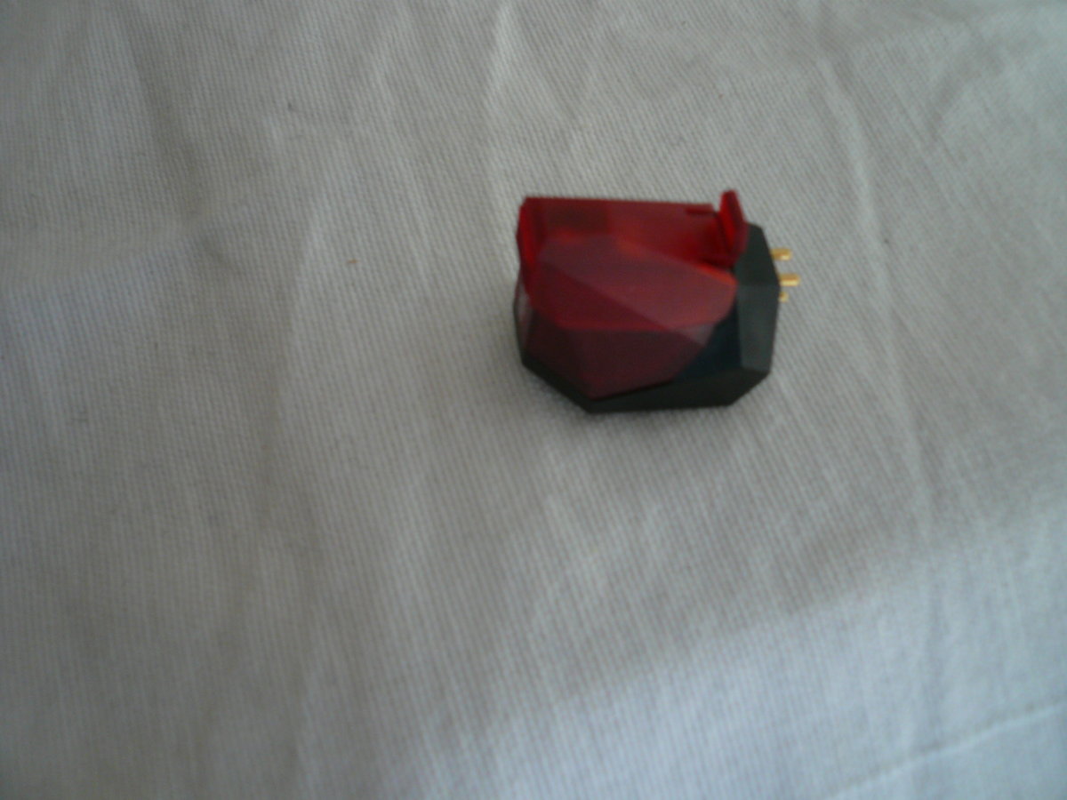 P1000936.JPG