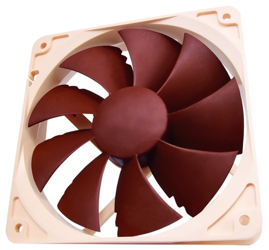 Noctua.jpg