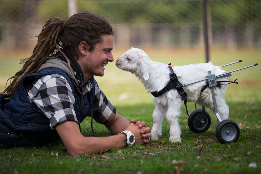 frostie-snow-goat-wheelchair-edgars-mission-1.jpg