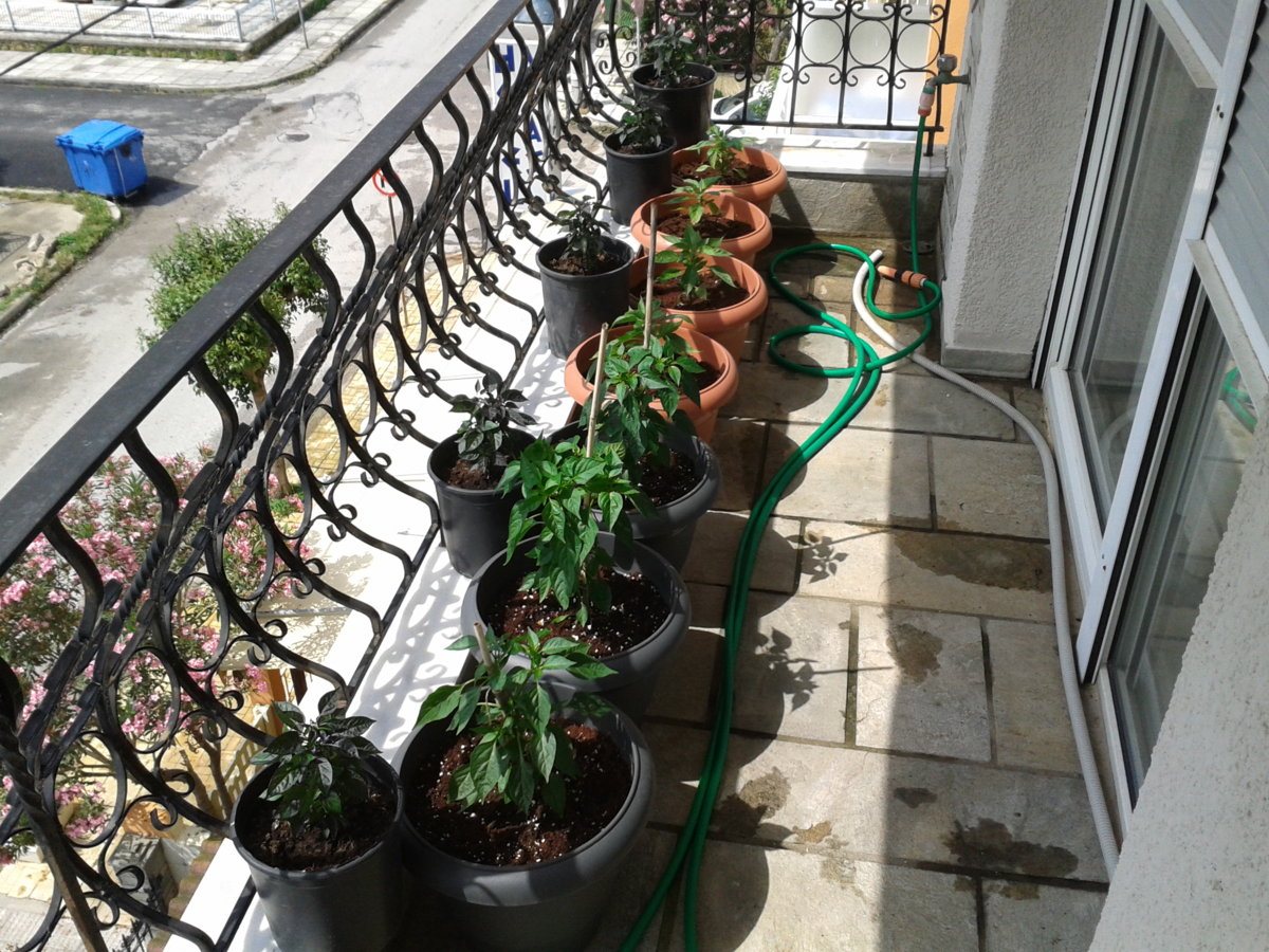 2014-06-11 15.31.39.jpg