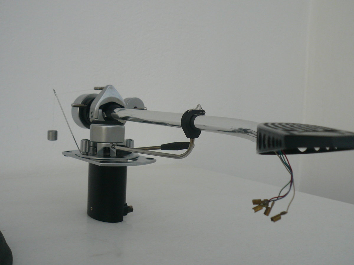 P1000988.JPG